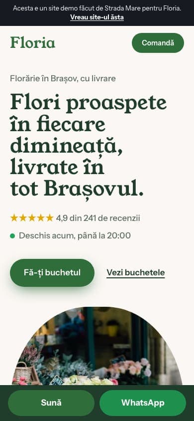 Același site, pe telefon