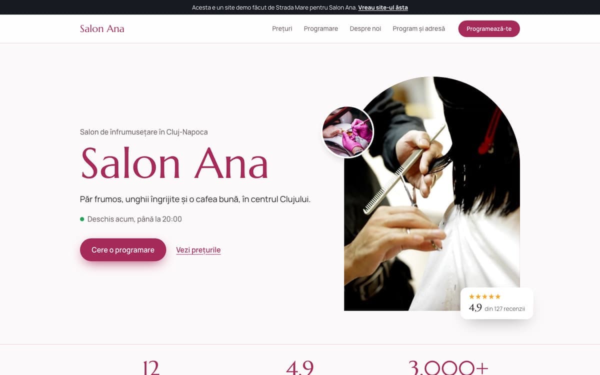 Site demo pentru salon, pe calculator