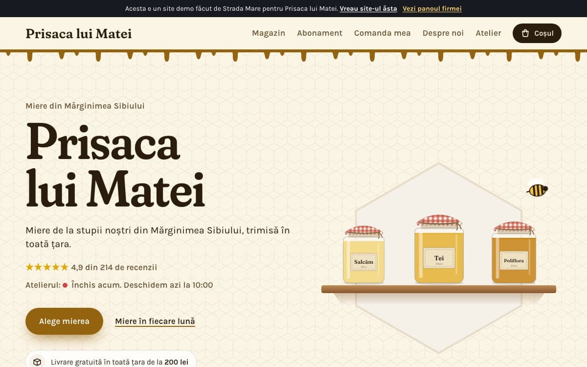 Demo site for a online shop, on a computer